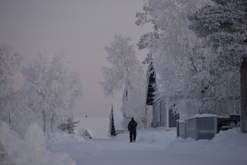 winter collection