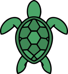 brazilian turtle shown from above