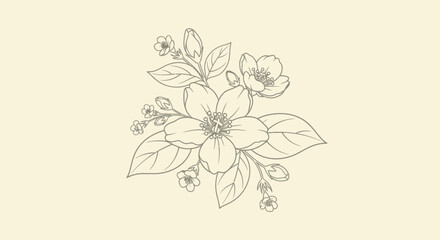 Floral design sketched blossom, buds, leaves on a pale backdrop