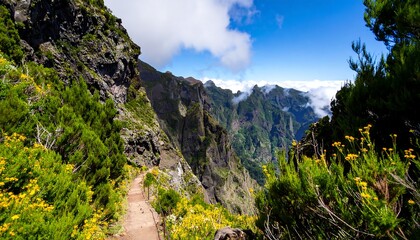 Mountain path through a vibrant valley