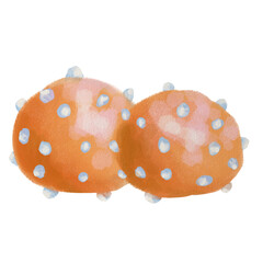 Hand drawn French pastry dessert. Watercolor illustration. Chouquettes 