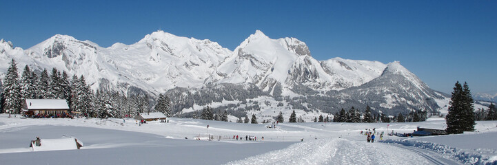 Sellamatt in winter, Toggenburg Valley, Switzerland.