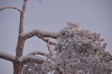 winter collection