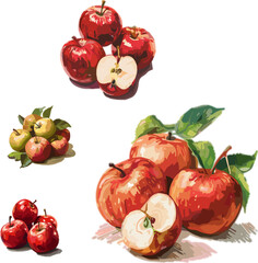 set of red apples with leaves, vectors illustration of fruits