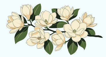 Magnolia arrangement