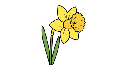 Fototapeta premium Single daffodil illustration, yellow blossom, green leaves