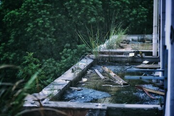 清冷废墟之美：遗世独立的静谧之声【The Cold Beauty of Ruins: The Tranquil Voice of the World Left Behind】