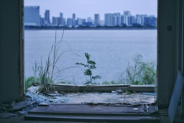 清冷废墟之美：遗世独立的静谧之声【The Cold Beauty of Ruins: The Tranquil Voice of the World Left Behind】