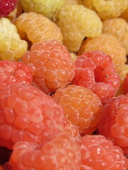 Zbliżenie na owoce maliny © Kumulugma