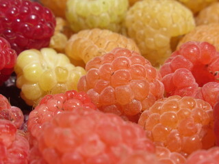 Zbliżenie na owoce maliny © Kumulugma