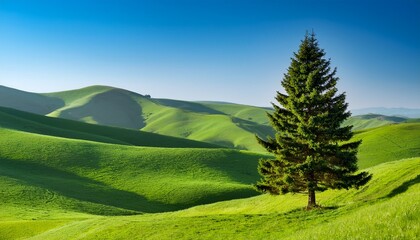 A Lush Green Pine Tree In A Landscape With Rolling Hills Under A Clear Sky
