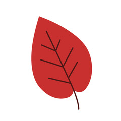 Stylized red leaf with dark brown veins on white