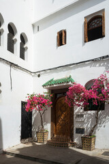 Traditional Moroccan courtyard in medina of Tangier. Whitewashed wall with a wooden door topped by a green-tiled awning. Pink bougainvillea flowers in pots. Ornamental windows