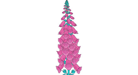Pink foxglove digital illustration with teal accents on white © gudangPIXEL