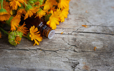medicinal plant calendula homeopathy. Selective focus.
