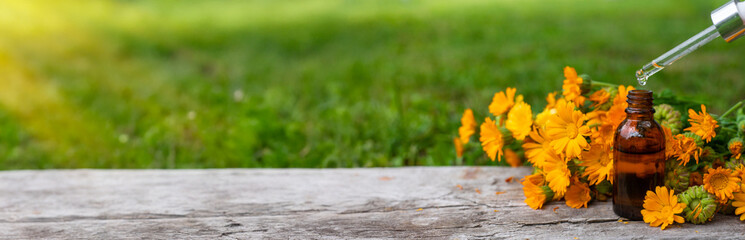medicinal plant calendula homeopathy. Selective focus.