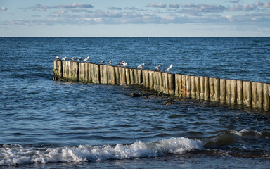 sandy beach on the embankment of Zelenogradsk
