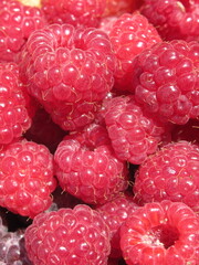 Zbliżenie na owoce maliny © Kumulugma