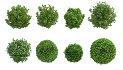 A collection of eight diverse green bushy plants arranged in two rows. various shapes and sizes. ideal for use in landscaping projects or digital design backgrounds