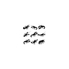 Vector set of lobster seafood 