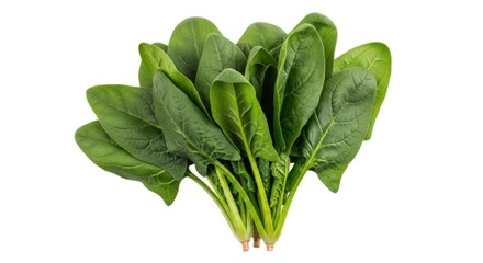 Fresh Green Spinach Leaves Closeup on White Background Healthy Vegetarian Ingredient