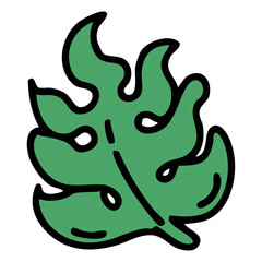 brazil region tropical monstera plant leaf