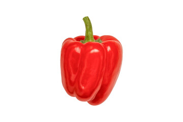 Fresh red bell pepper is isolated.