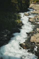秋韵长白：溪谷间的自然诗篇【Autumn Charm of Changbai: Nature's Poem in the Valley】