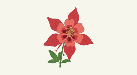 Fototapeta premium Red columbine flower with green leaves on a plain background