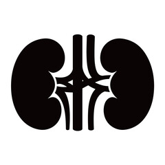 black and white silhouette of Kidneys vector on white background