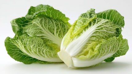 two fresh heads of lettuce, exhibiting crisp green leaves with a hint of a purple tint near their bases