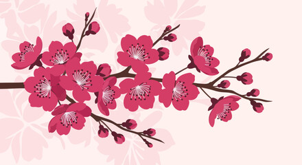 Cherry blossoms on a twig, buds ready to bloom, pink background