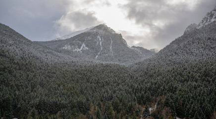 Te voy a pasar varias foto, y quiero que me digas las palabras claves mas interesantes de incluir...