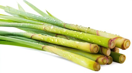 Fototapeta premium a close up of fresh asparagus spears with their green tops still attached. they are arranged in a row, standing upright against a white background