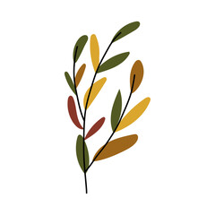 Autumn leaf drawing in warm orange and yellow tones, botanical sprigs and twigs rendered as handmade vector graphic artwork.