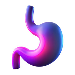Human stomach anatomy 3d render isolated on transparent background