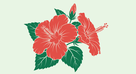 Red hibiscus blooms and buds on a light green backdrop