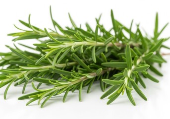 A fresh bundle of rosemary sprigs, with vibrant green needles, rests on a smooth, reflective white surface. Isolated white background.