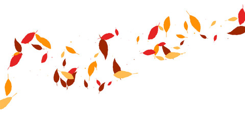 Leaves. Yellow, red, orange, brown colors. 