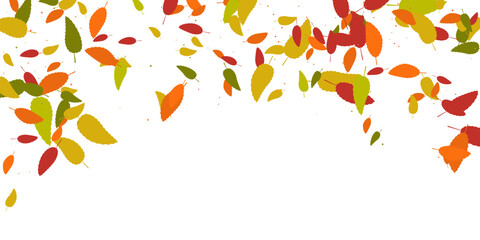 Leaves. Yellow, red, orange, green, brown colors Scattered autumn leaves 