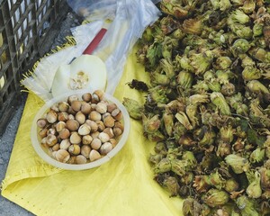 秋日森林集市：蓝莓、猕猴桃、榛子与蘑菇的丰收盛宴【Autumn Forest Market: A Bounty of Blueberries, Kiwis, Hazelnuts, and Mushrooms】