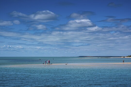 View of Shark Bay, Monkey Mia, Western Australia, Australia