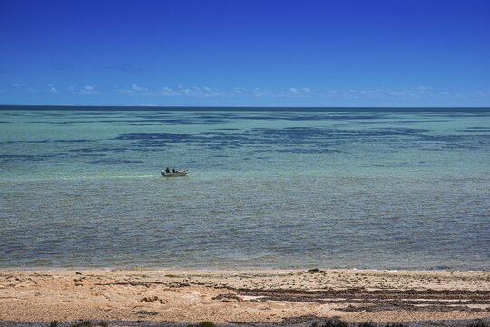 View of Shark Bay, Monkey Mia, Western Australia, Australia