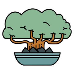 japanese bonsai tree in shallow pot