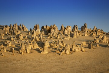 Pinnacles Desert, Nambung National Park, Kalbarri Region, Western Australia, Australia