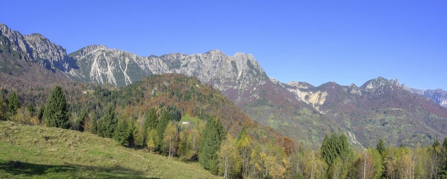 Autumn colours on the path of the big trees in the Piccolo Dolomiti, Recoaro Terme, province of Vicenza, Italy
