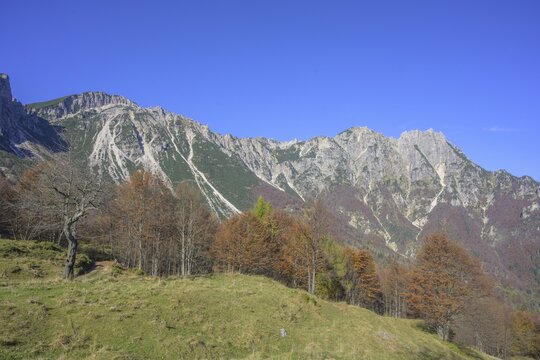 Autumn colours on the path of the big trees in the Piccolo Dolomiti, Recoaro Terme, province of Vicenza, Italy
