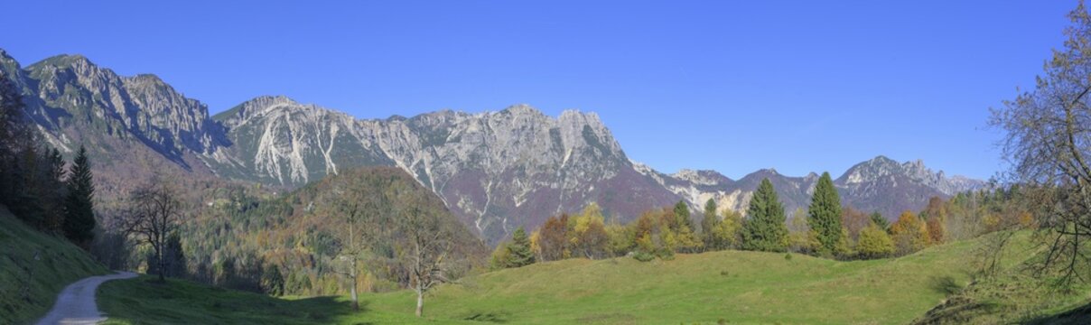 Autumn colours on the path of the big trees in the Piccolo Dolomiti, Recoaro Terme, province of Vicenza, Italy