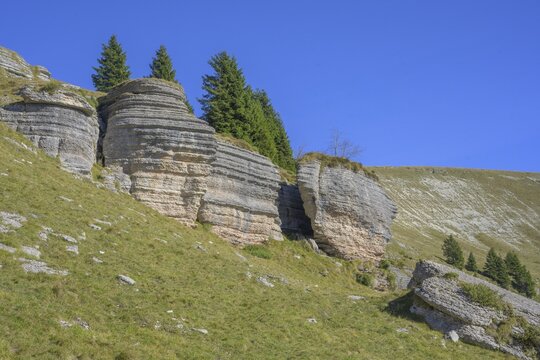 Surface karst rock formations, circular hike Monte Fior, Foza, province of Vicenza, Italy