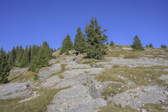 Trenches in karst rock from the First World War, circular hike Monte Fior, Foza, province of Vicenza, Italy